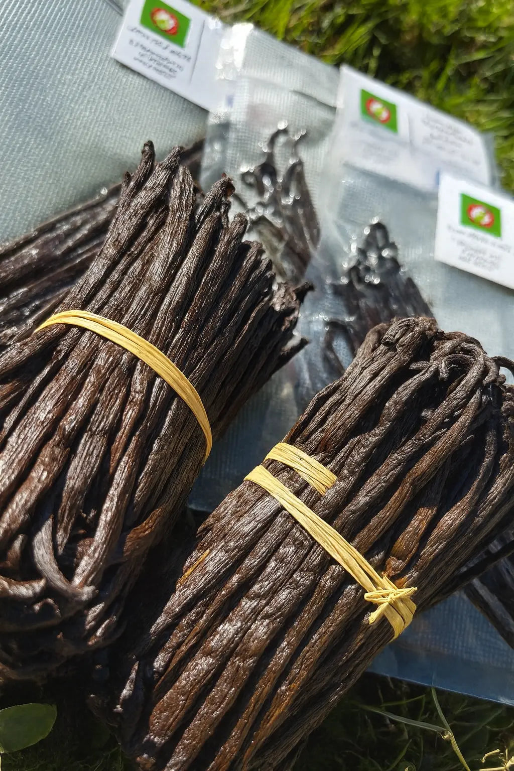 Pack gourmand 10 gousses Vanille bourbon Madagascar x2 duo Ma boutique