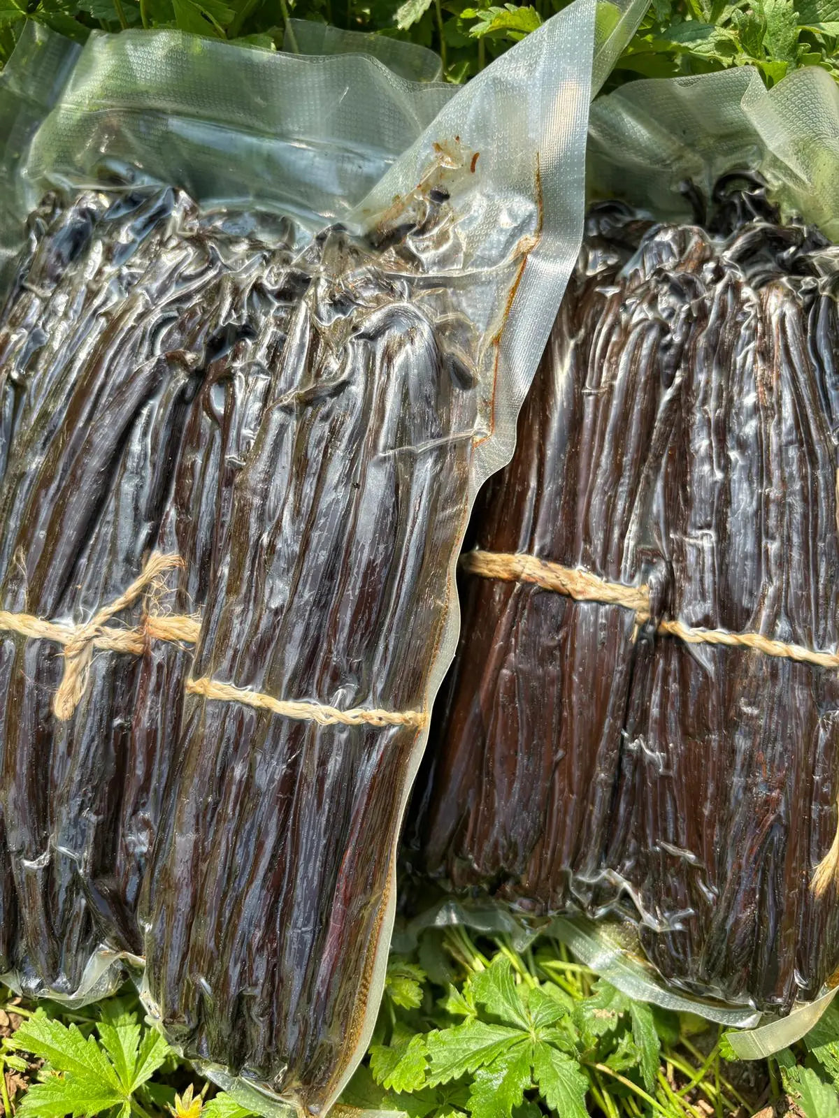 Pack Master : 100 gousses de vanille Bourbon Gourmet de Madagascar Ma boutique