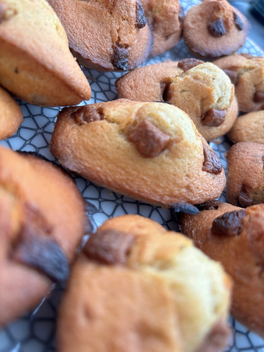 Madeleines à la vanille Grand Cru de Madagascar - Or noir vanilla