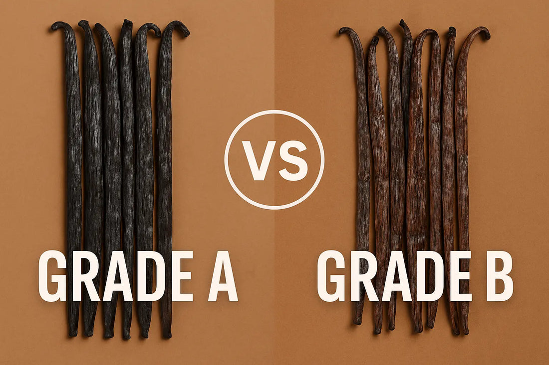 La différence entre une vanille Grade 'A' et Grade 'B' . Le guide complet - Or noir vanilla