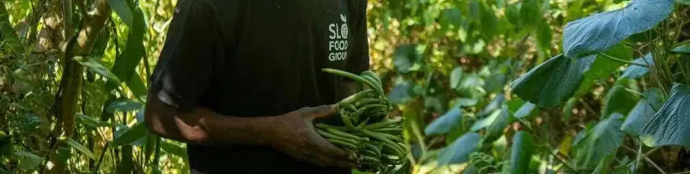Où acheter de la vraie vanille de Madagascar en ligne en 2026 ?
