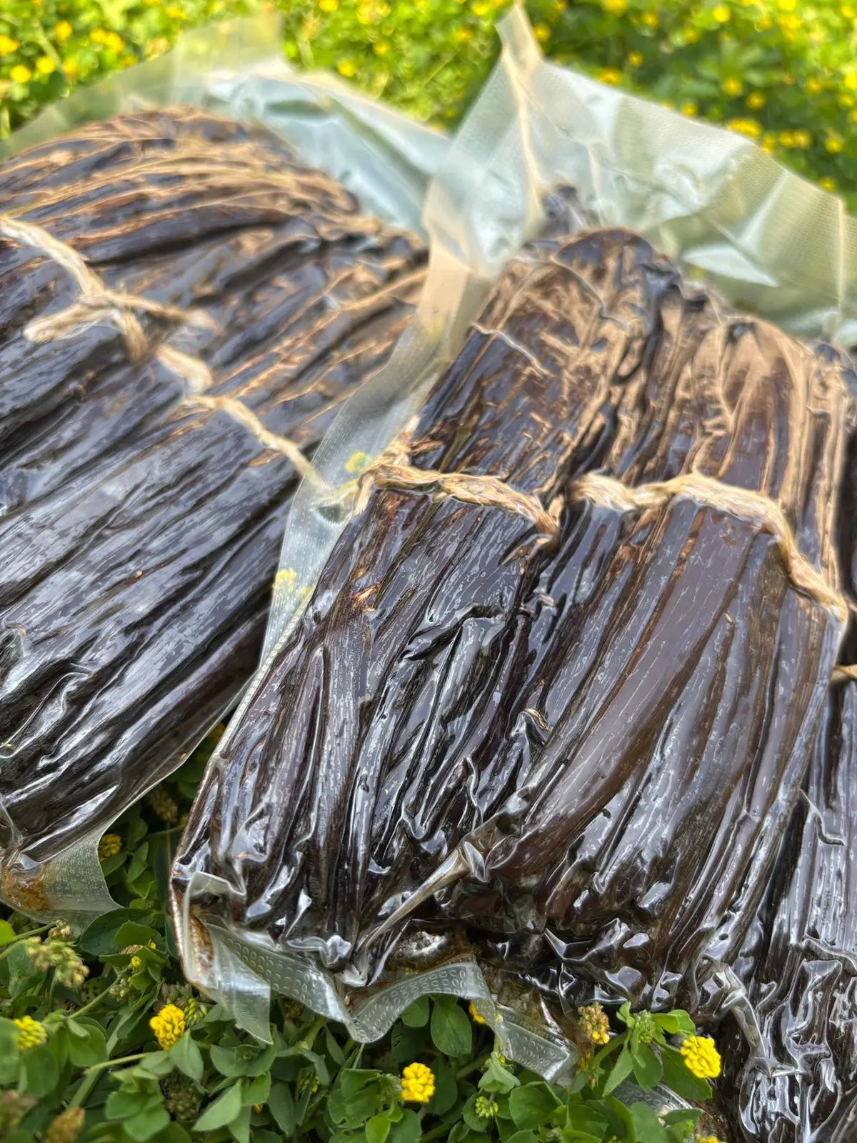 Vente en gros - Or noir vanilla