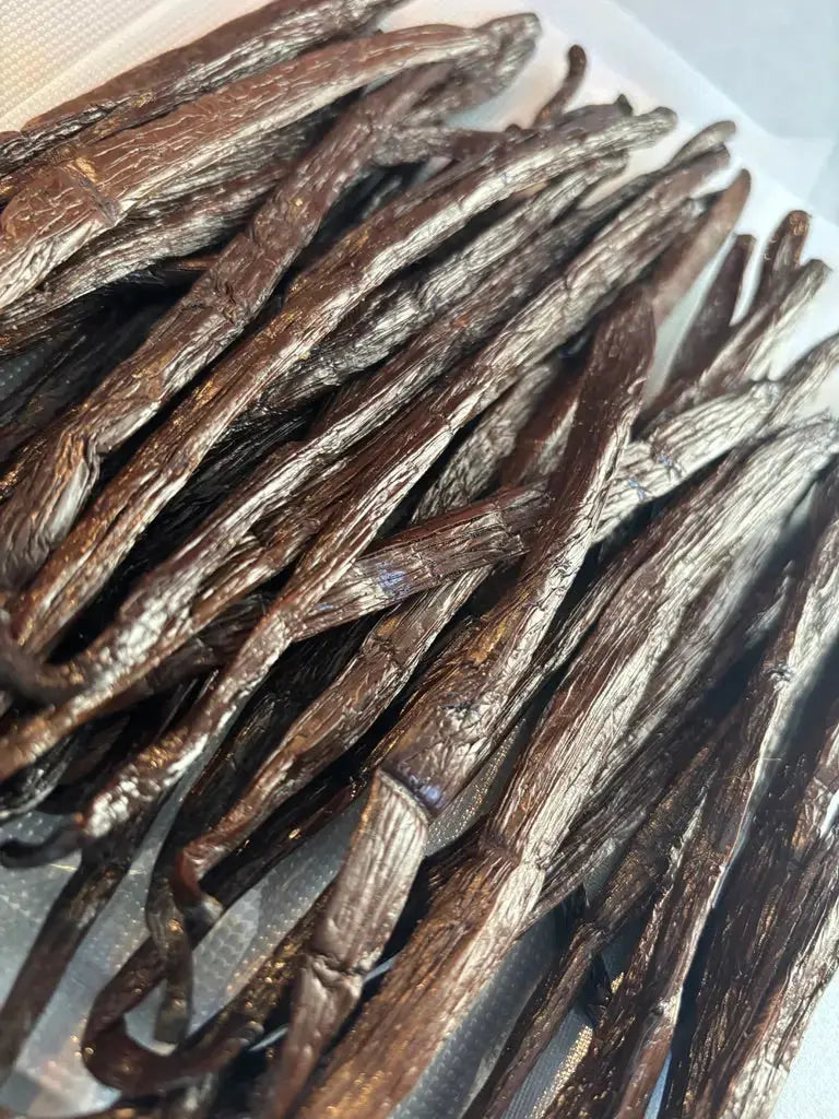 Pack découverte 5 gousses XL de vanille Grand cru Madagascar Grade A Ma boutique