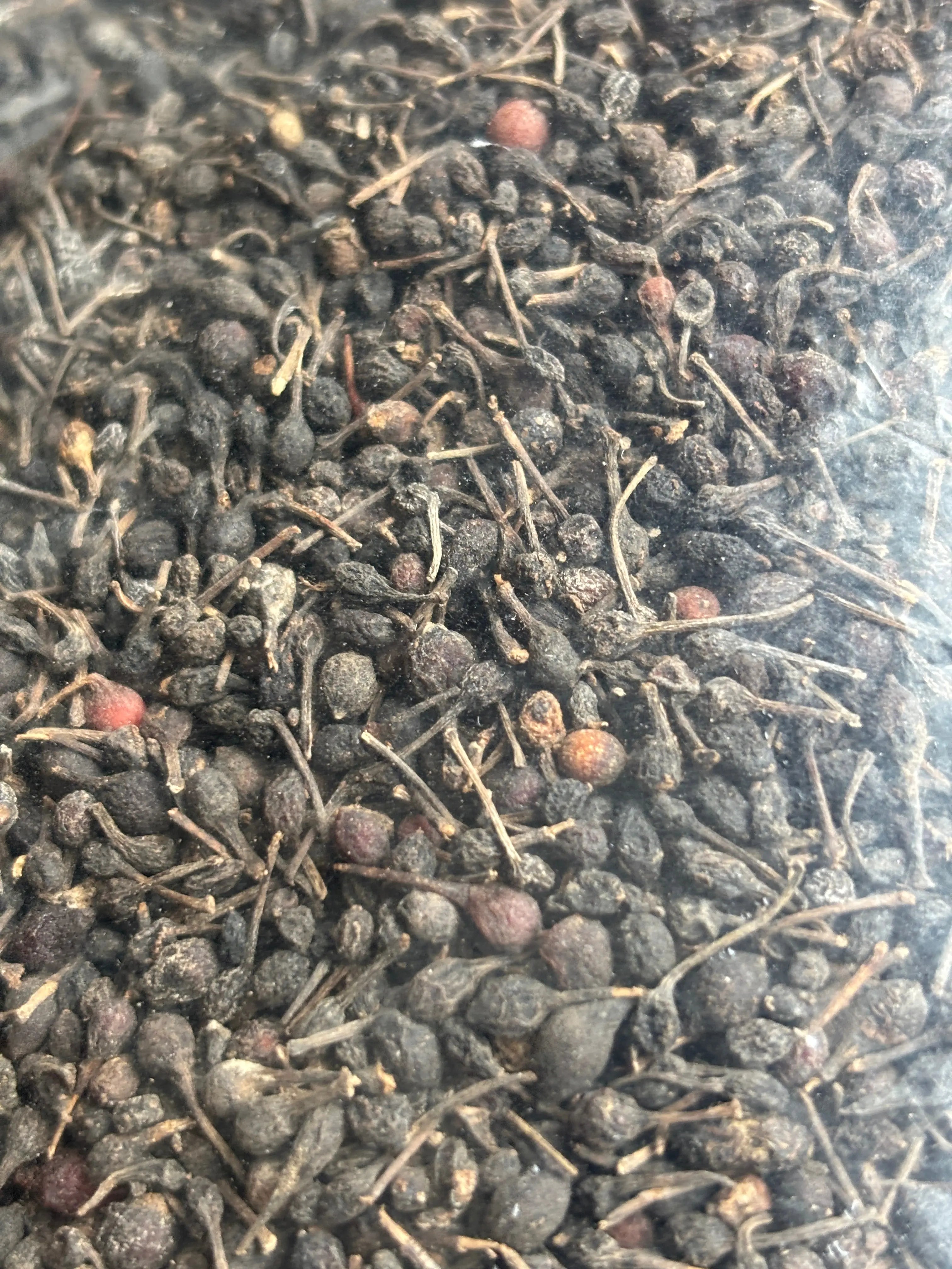 POIVRE SAUVAGE NOIR - VOATSIPERIFERY Or noir vanilla