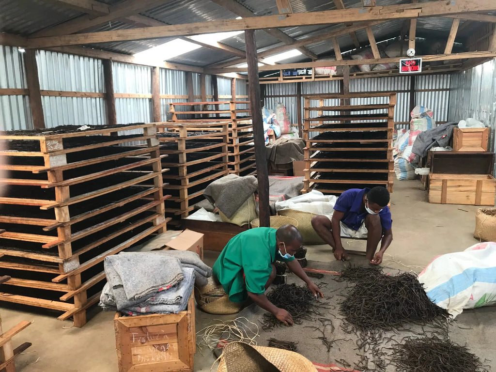 Pack découverte : 5 gousses vanille  XL bourbon Grand cru Madagascar Grade A Ma boutique